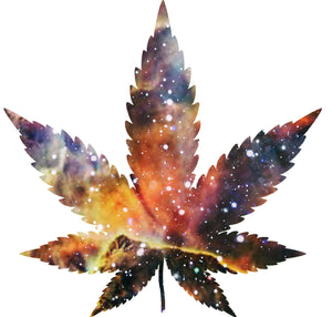Marijuana