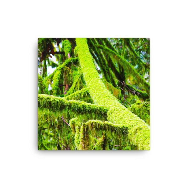 Saturated PNW Moss Canvas Print - Galactic Budz