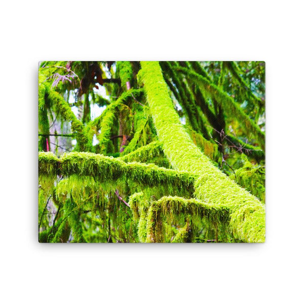 Saturated PNW Moss Canvas Print - Galactic Budz