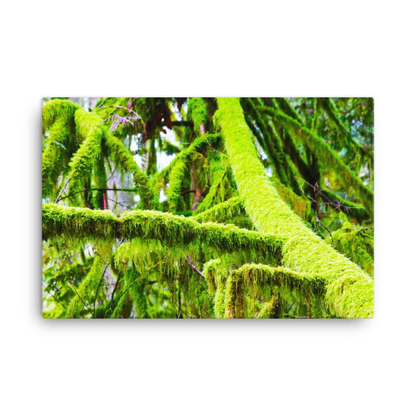 Saturated PNW Moss Canvas Print - Galactic Budz